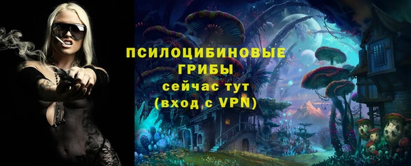 мдма Осинники