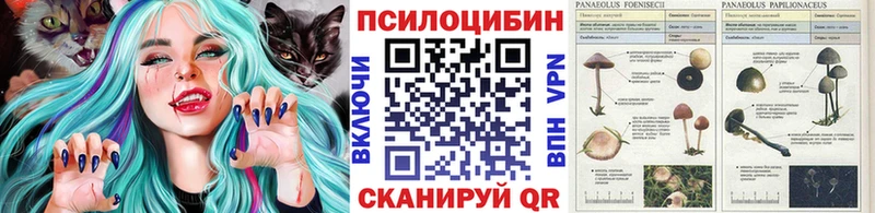 Галлюциногенные грибы Psilocybe купить цена Аша