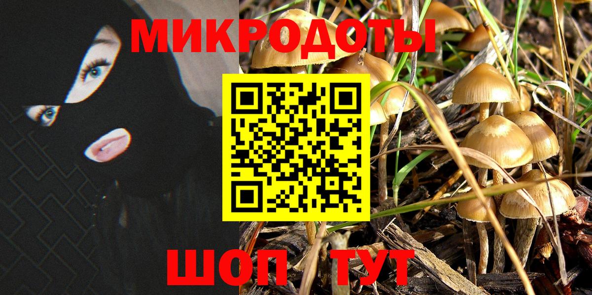 Псилоцибиновые грибы GOLDEN TEACHER  Псилоцибиновые грибы Psilocybine cubensis  Аша  Вход с VPN 