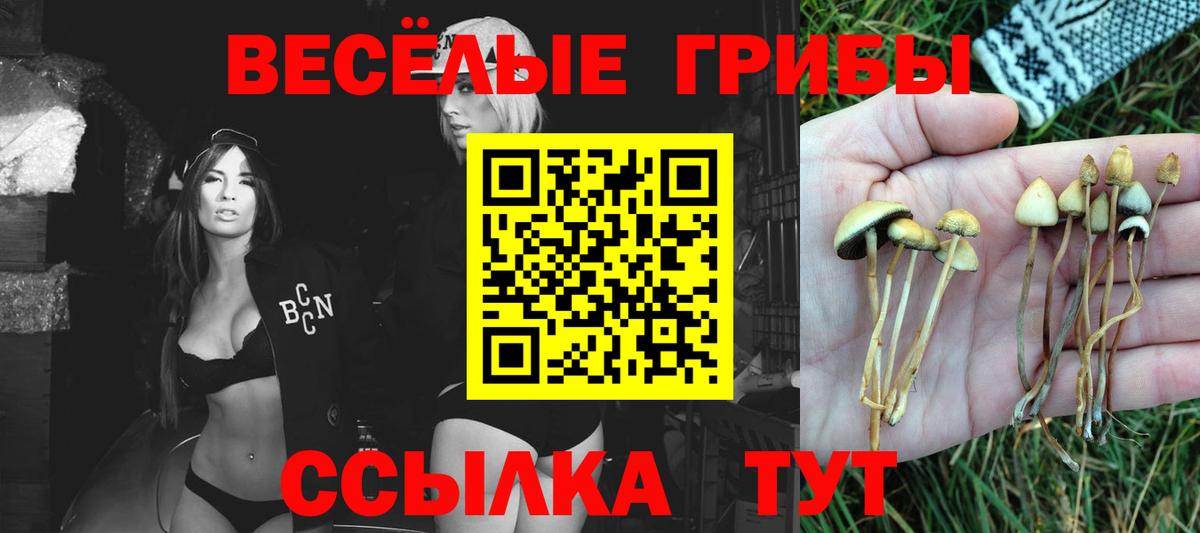 Псилоцибиновые грибы мицелий Аша