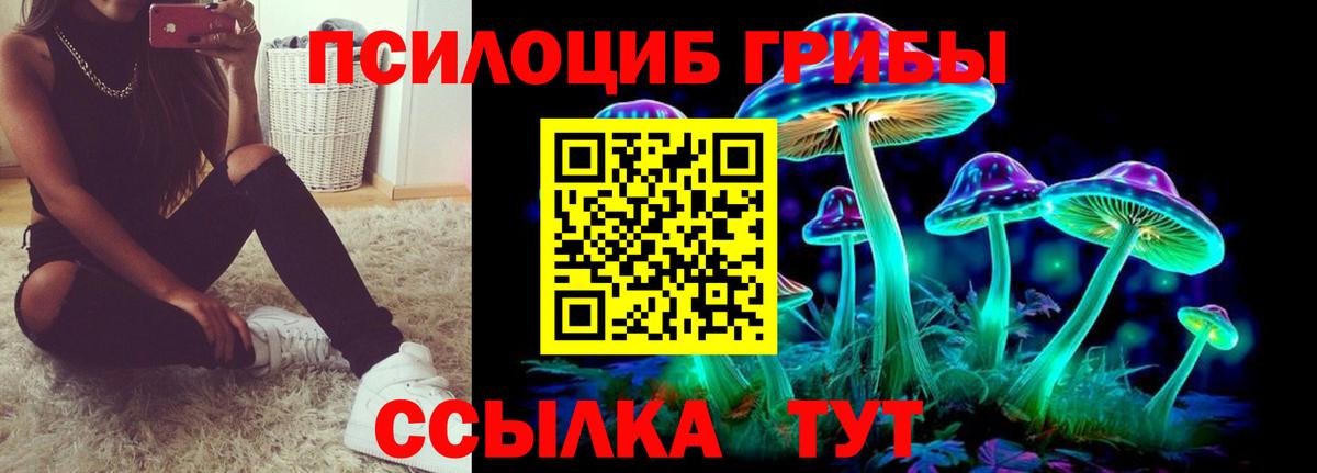 Псилоцибиновые грибы Psilocybine cubensis Аша