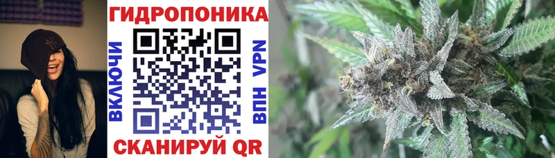 Конопля AK-47 Аша